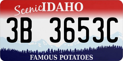 ID license plate 3B3653C