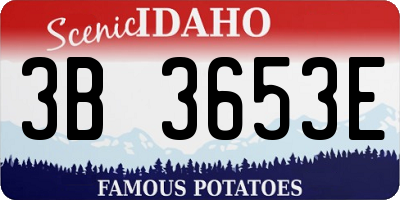 ID license plate 3B3653E