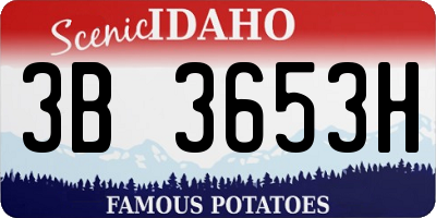 ID license plate 3B3653H