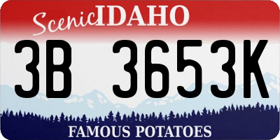 ID license plate 3B3653K