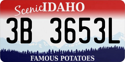 ID license plate 3B3653L