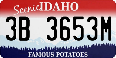 ID license plate 3B3653M