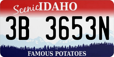 ID license plate 3B3653N