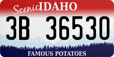 ID license plate 3B3653O