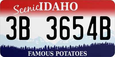 ID license plate 3B3654B