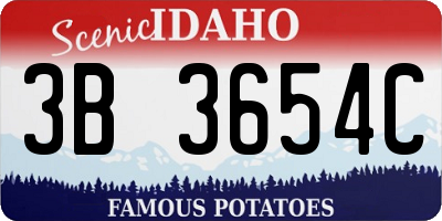 ID license plate 3B3654C