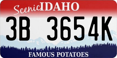 ID license plate 3B3654K