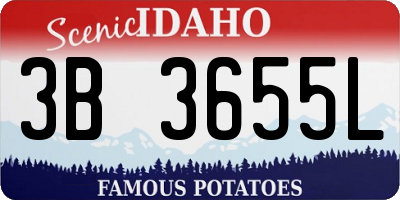 ID license plate 3B3655L