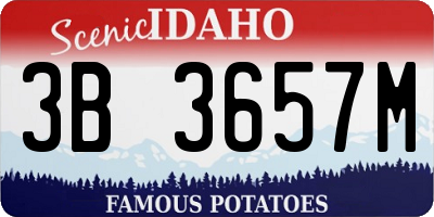 ID license plate 3B3657M