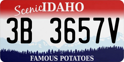 ID license plate 3B3657V