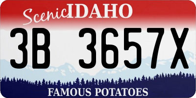 ID license plate 3B3657X