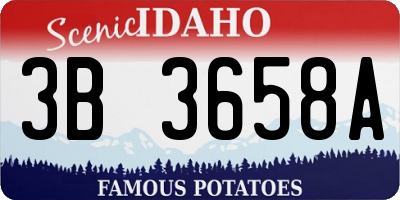 ID license plate 3B3658A