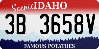 ID license plate 3B3658V
