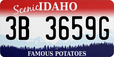 ID license plate 3B3659G