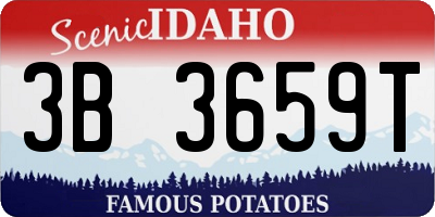 ID license plate 3B3659T