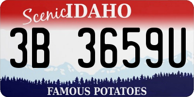 ID license plate 3B3659U