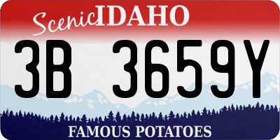ID license plate 3B3659Y