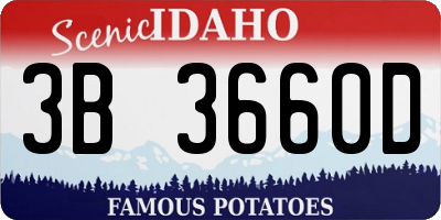 ID license plate 3B3660D