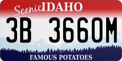 ID license plate 3B3660M