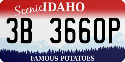ID license plate 3B3660P