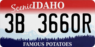 ID license plate 3B3660R