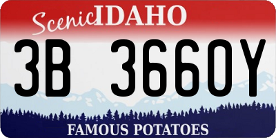 ID license plate 3B3660Y