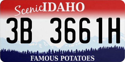 ID license plate 3B3661H