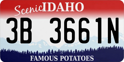 ID license plate 3B3661N