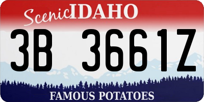 ID license plate 3B3661Z