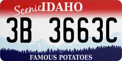 ID license plate 3B3663C