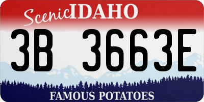 ID license plate 3B3663E