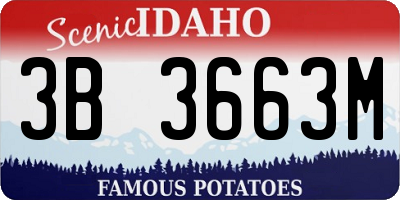 ID license plate 3B3663M