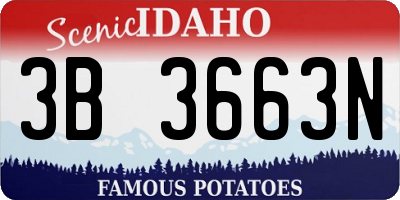 ID license plate 3B3663N