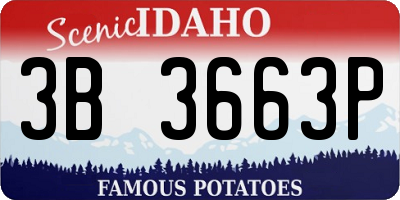 ID license plate 3B3663P