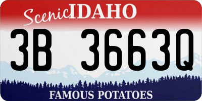 ID license plate 3B3663Q