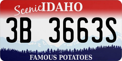 ID license plate 3B3663S