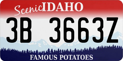 ID license plate 3B3663Z