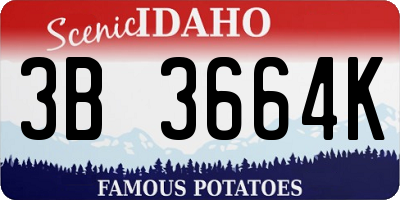 ID license plate 3B3664K