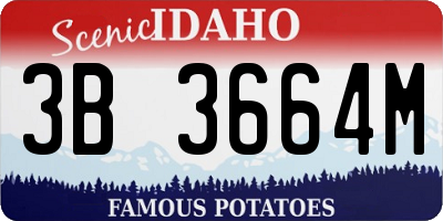 ID license plate 3B3664M