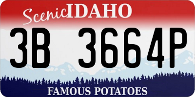 ID license plate 3B3664P