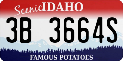 ID license plate 3B3664S