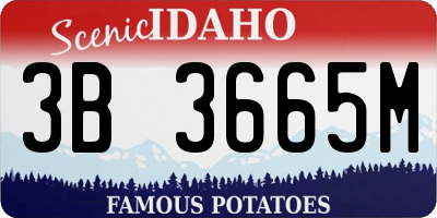 ID license plate 3B3665M