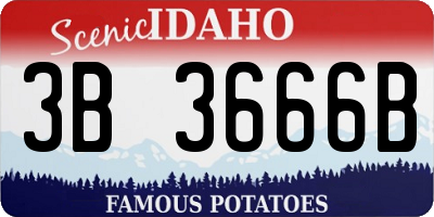 ID license plate 3B3666B