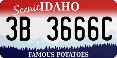 ID license plate 3B3666C