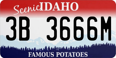 ID license plate 3B3666M