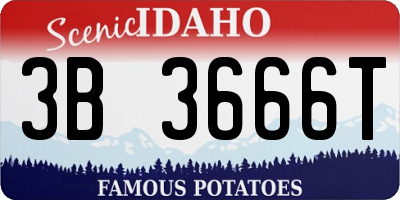 ID license plate 3B3666T