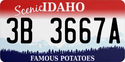 ID license plate 3B3667A