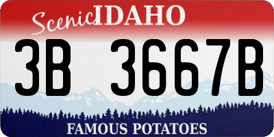 ID license plate 3B3667B