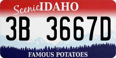 ID license plate 3B3667D