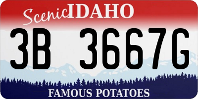 ID license plate 3B3667G